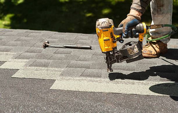 Best Roof Gutter Cleaning  in New Carlisle, OH